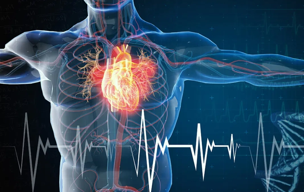 10-signs-of-cardiovascular-disease