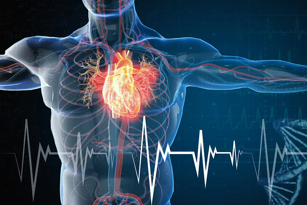 10-signs-of-cardiovascular-disease