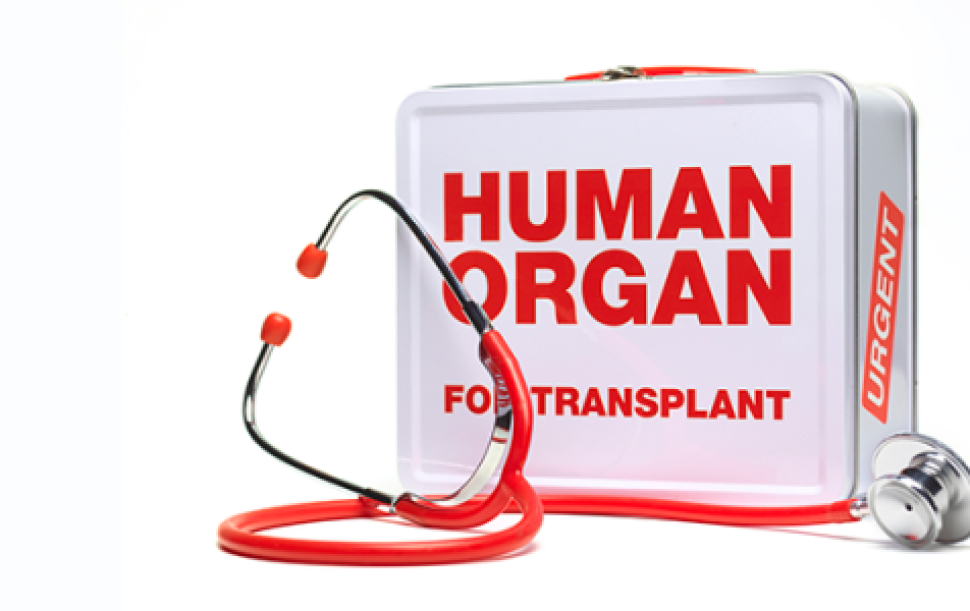 organ-donation-1100x355